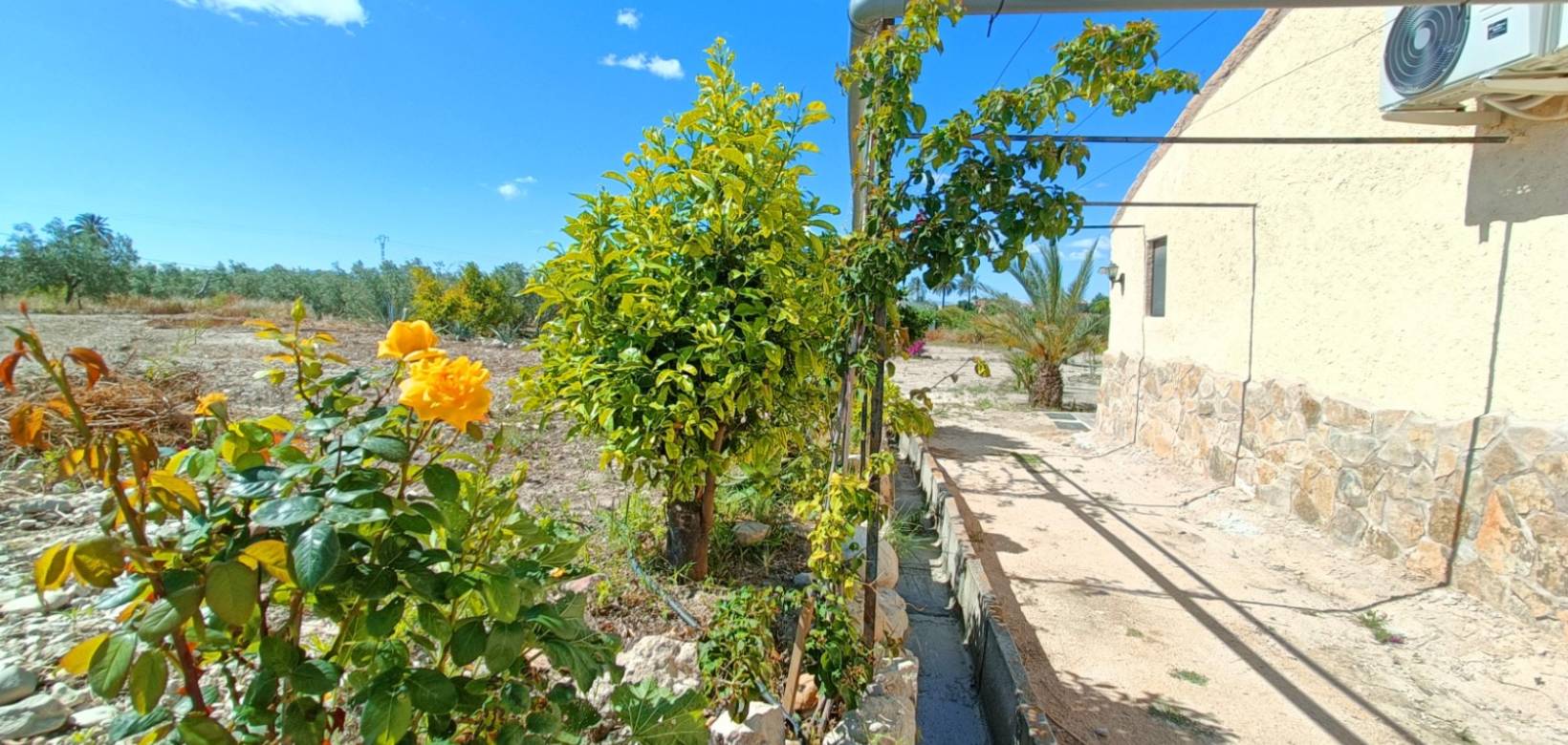Resale - Villa - Abanilla