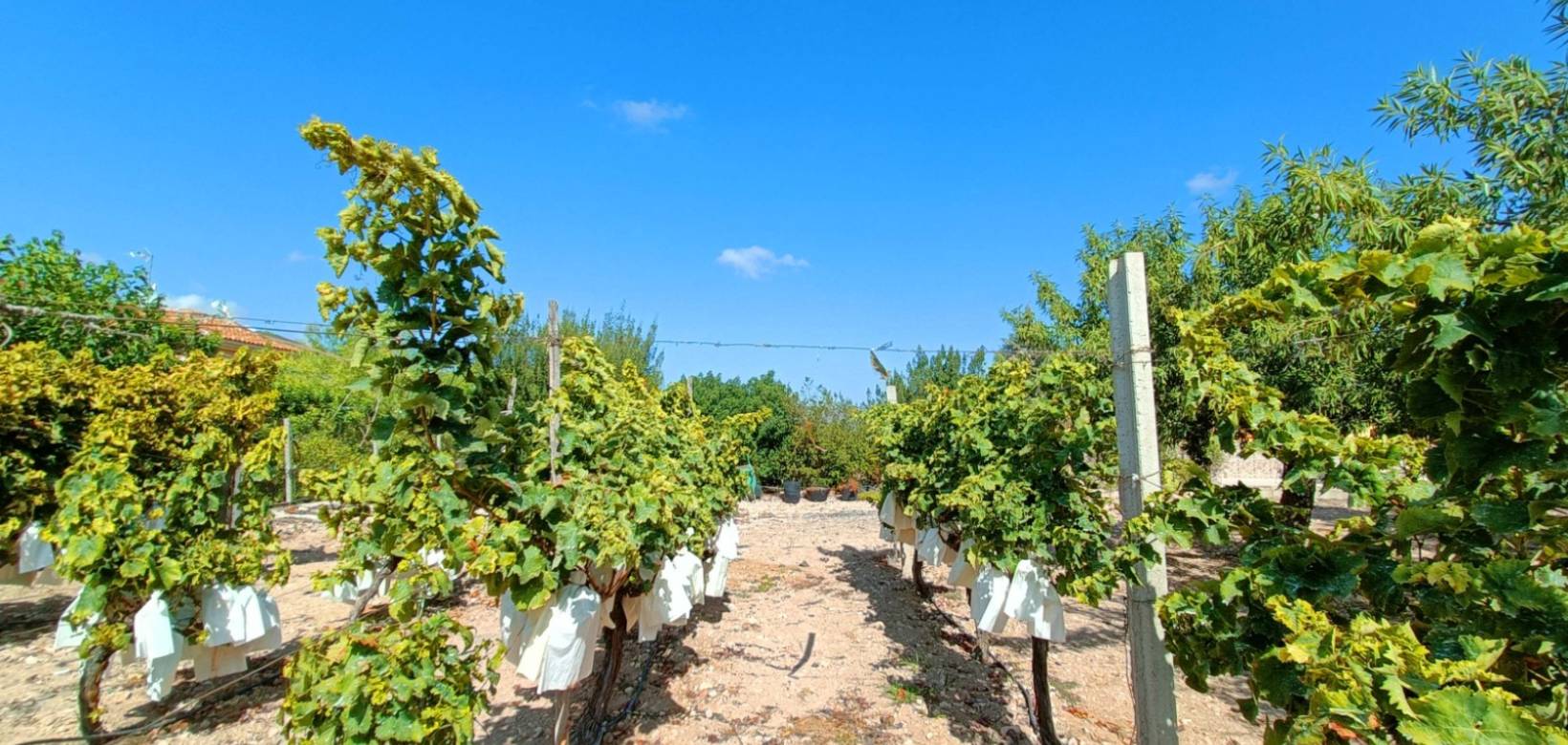 Resale - Villa - Aspe