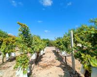 Resale - Villa - Aspe