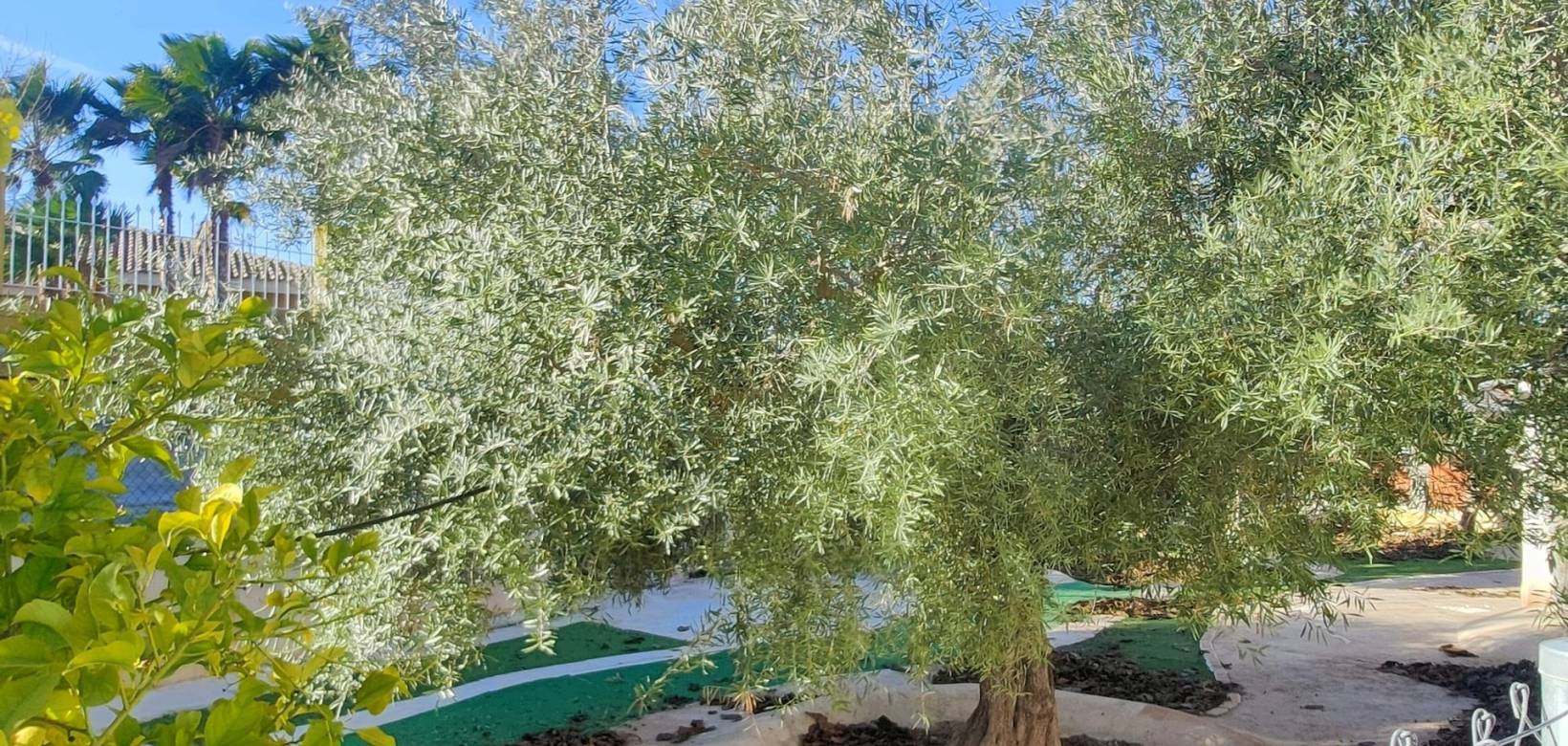 Resale - Villa - Aspe