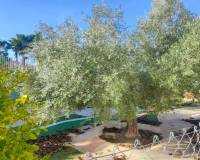 Resale - Villa - Aspe
