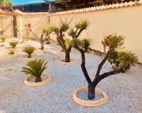 Resale - Villa - Barinas