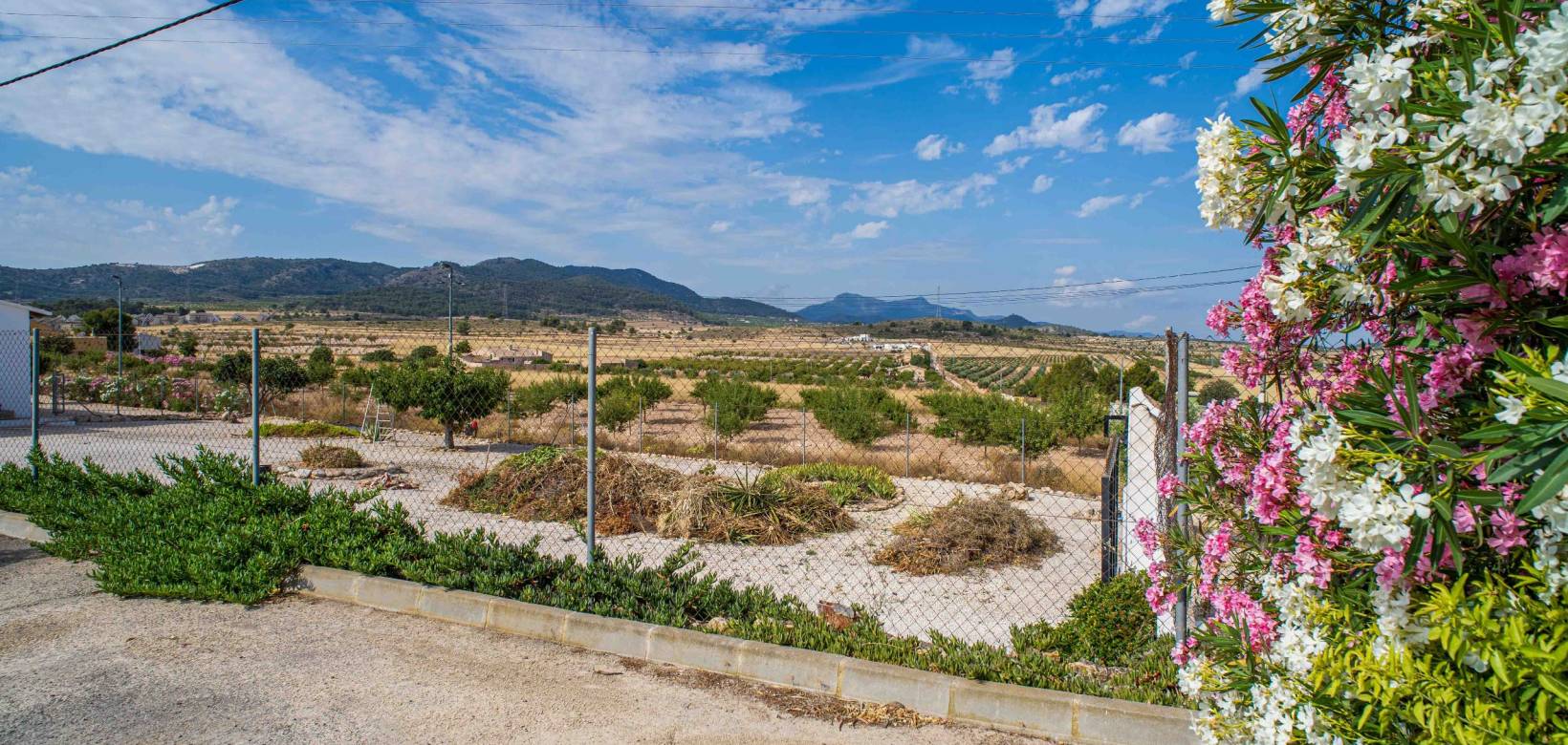 Resale - Villa - Canada del Trigo - Polígono 1, Parcela 13, COLLADO. ABANILLA (MURCIA)