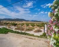 Resale - Villa - Canada del Trigo - Polígono 1, Parcela 13, COLLADO. ABANILLA (MURCIA)