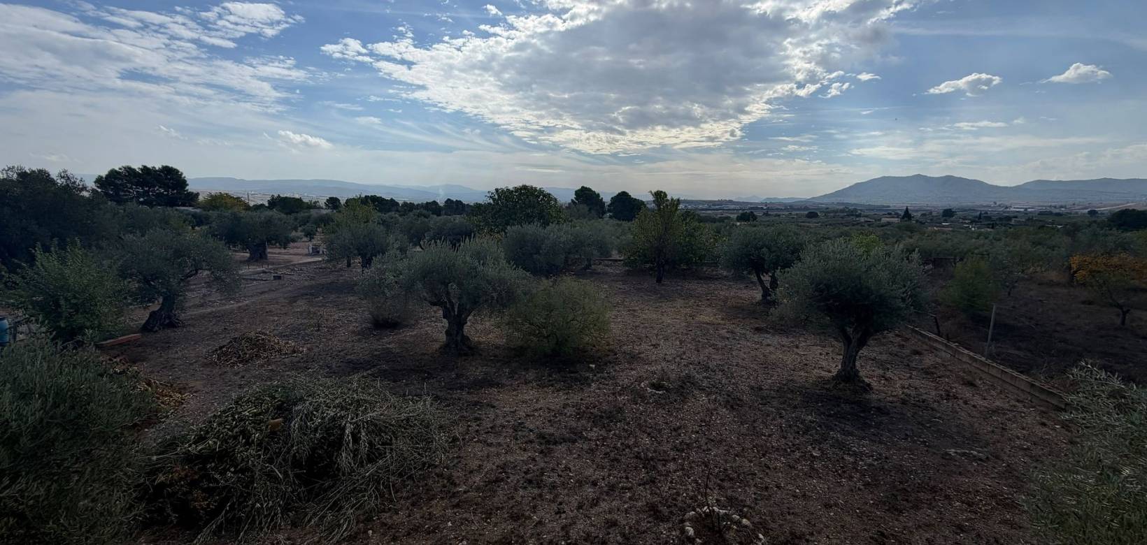 Resale - Villa - Caudete