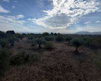 Resale - Villa - Caudete