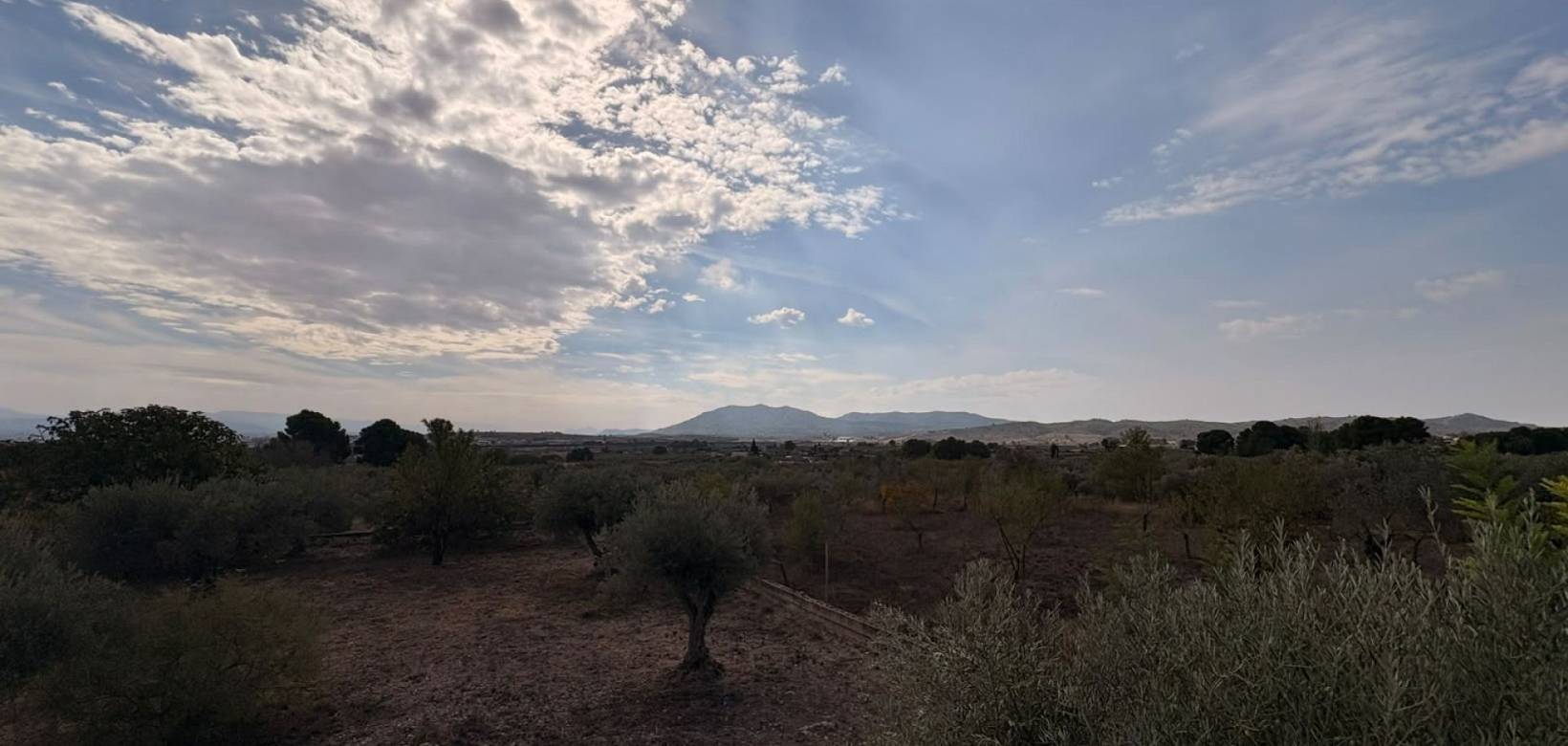 Resale - Villa - Caudete