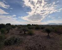 Resale - Villa - Caudete