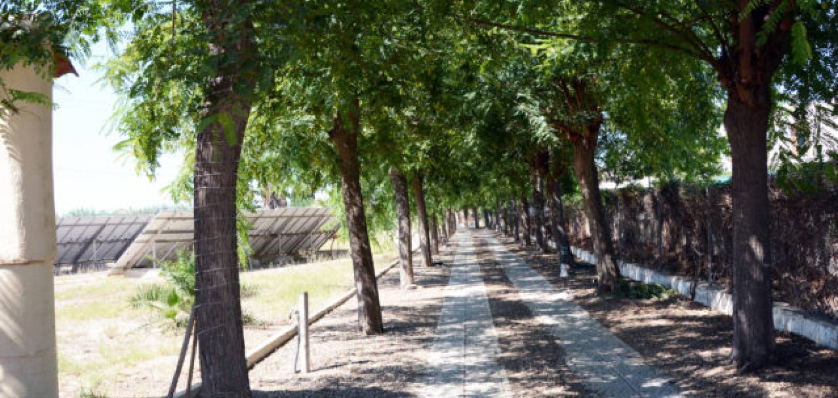 Resale - Villa - Daya Vieja