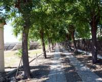 Resale - Villa - Daya Vieja