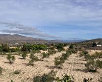 Resale - Villa - Detached - Hondón de los Frailes