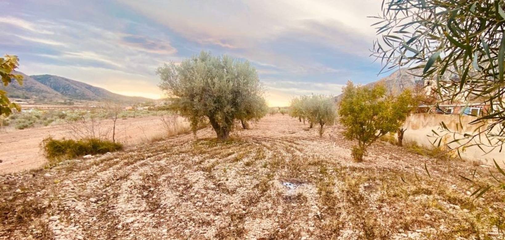 Resale - Villa - El Cantón