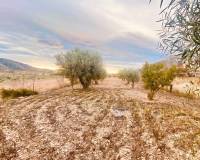 Resale - Villa - El Cantón