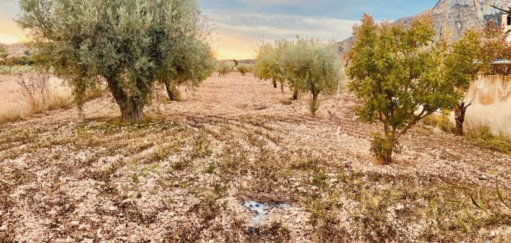 Resale - Villa - El Cantón