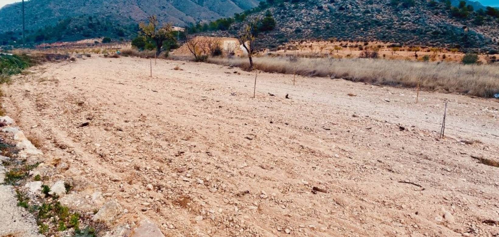 Resale - Villa - El Cantón