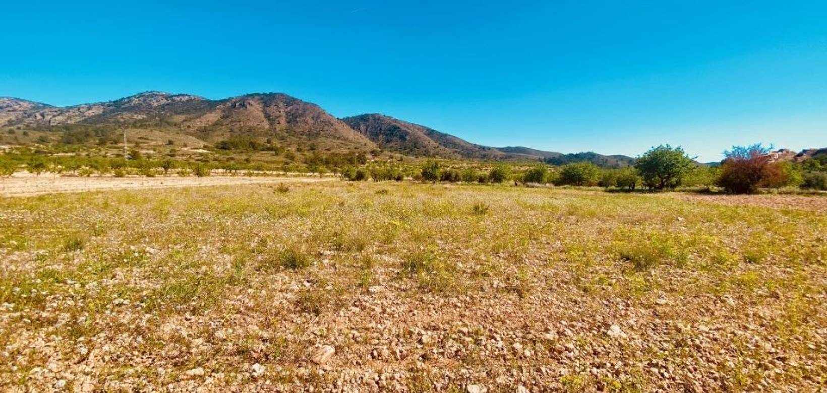 Resale - Villa - El Cantón