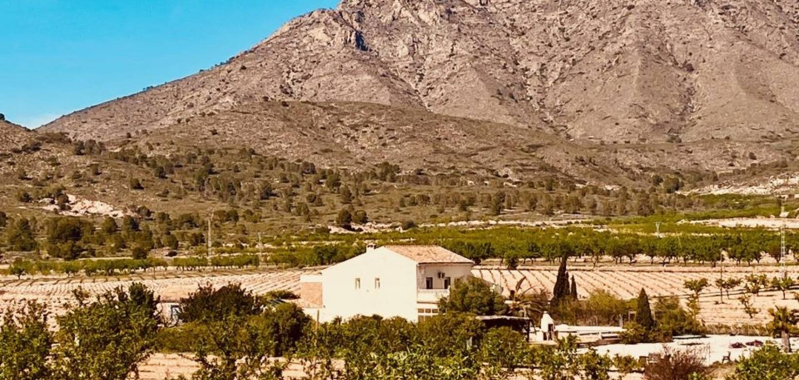 Resale - Villa - El Cantón