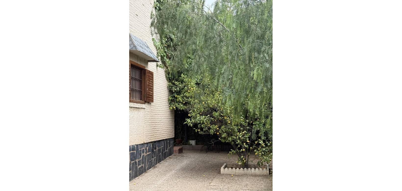 Resale - Villa - Elda