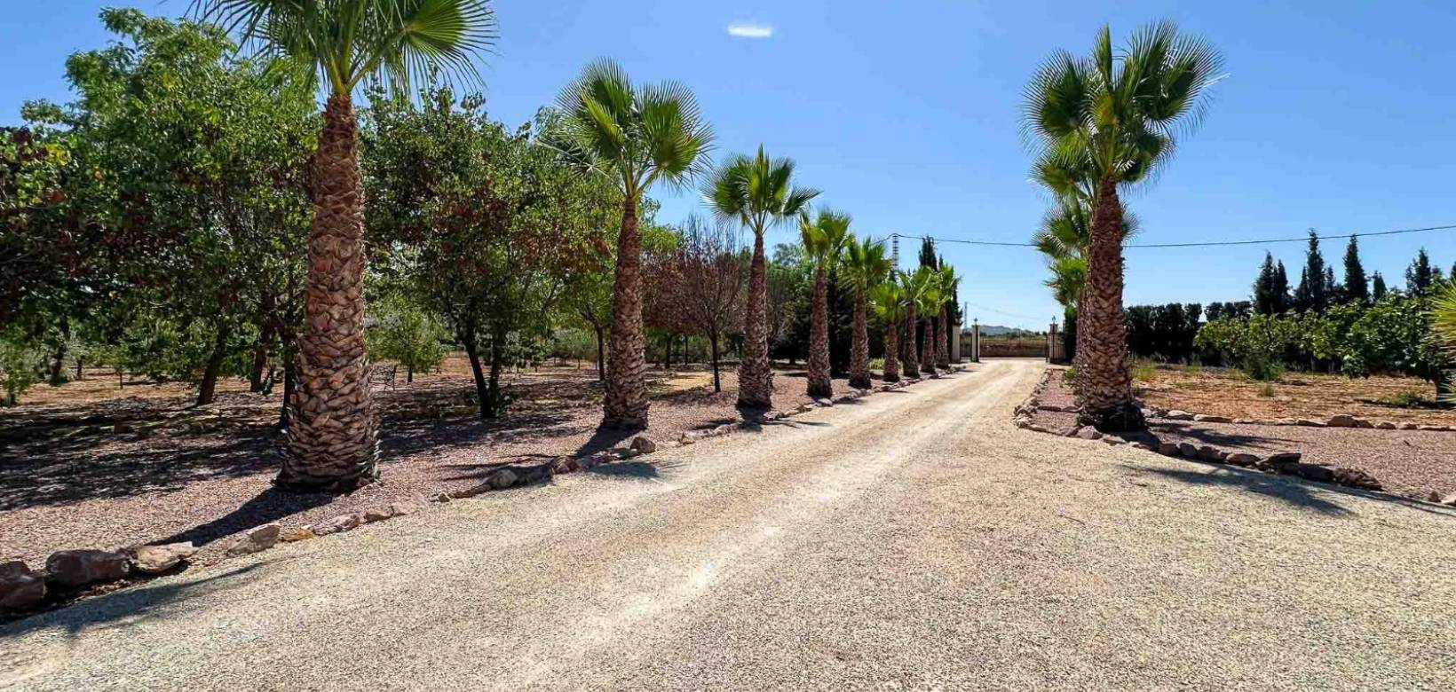 Resale - Villa - Hondón de las Nieves