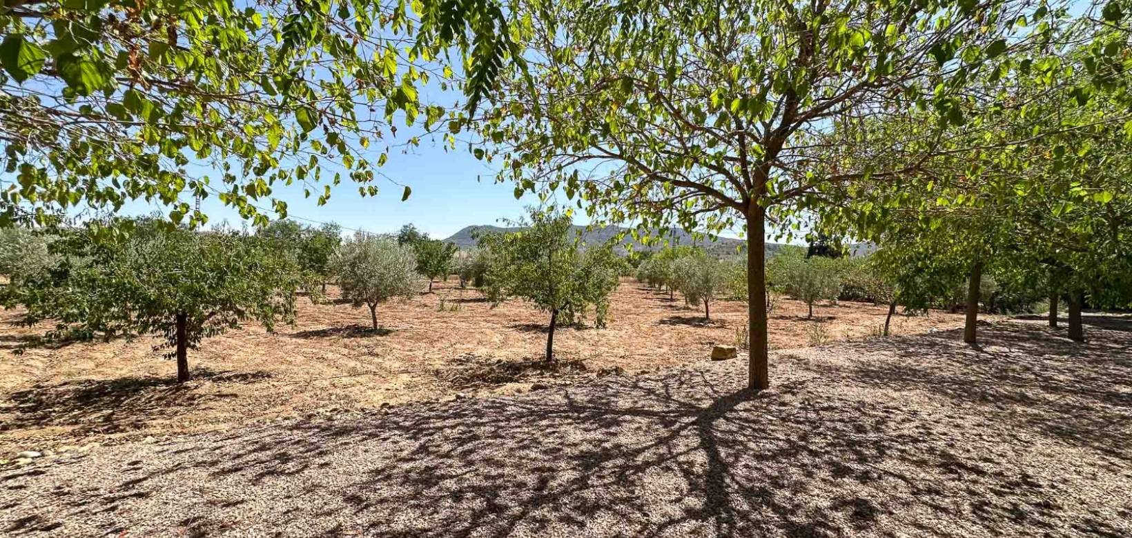 Resale - Villa - Hondón de las Nieves