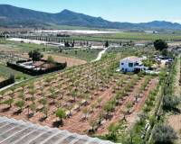 Resale - Villa - Hondón de las Nieves