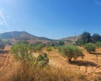 Resale - Villa - Hondón de las Nieves