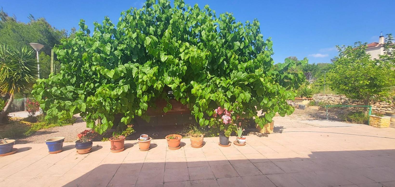 Resale - Villa - Hondón de las Nieves
