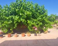 Resale - Villa - Hondón de las Nieves