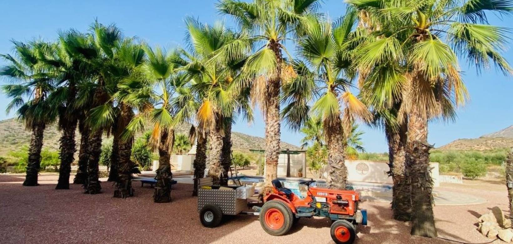 Resale - Villa - Hondón de las Nieves