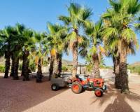 Resale - Villa - Hondón de las Nieves