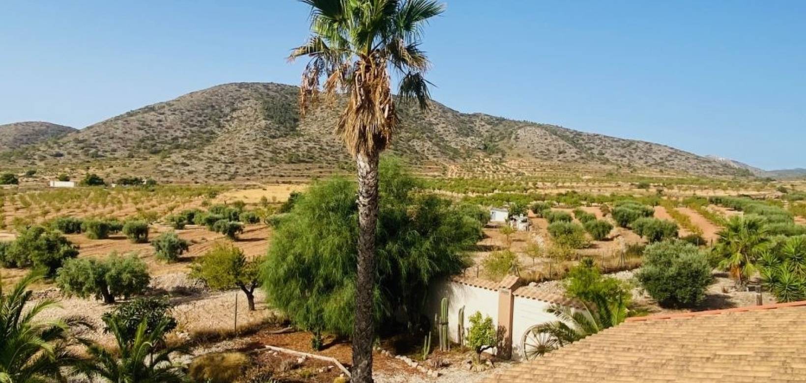 Resale - Villa - Hondón de las Nieves