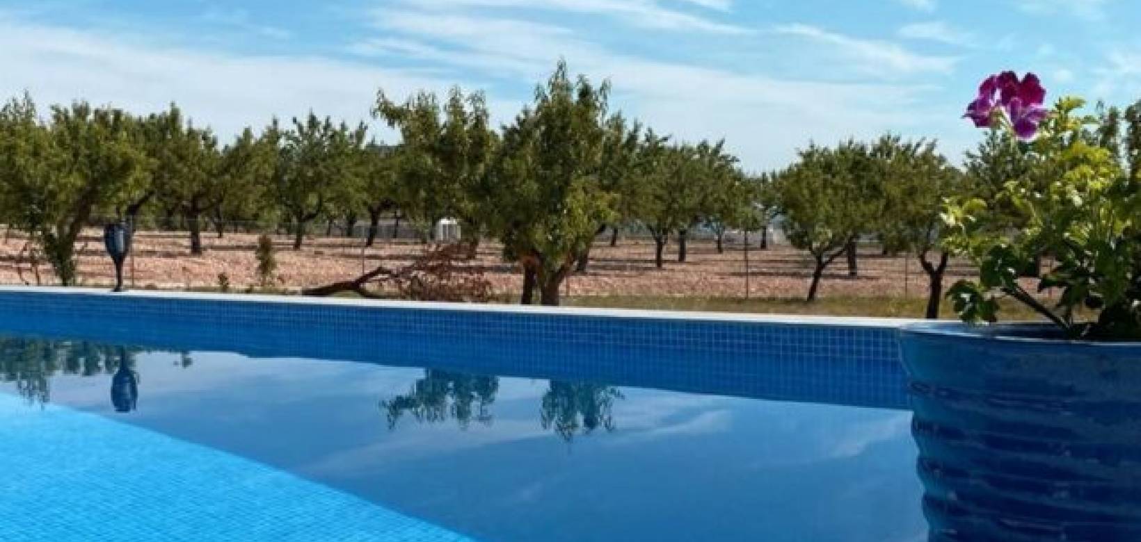 Resale - Villa - Hondón de las Nieves