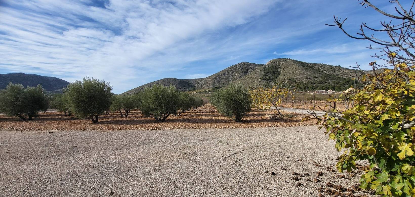 Resale - Villa - Hondón de las Nieves