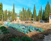 Resale - Villa - Hondón de los Frailes