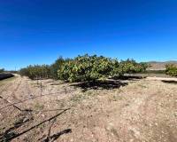 Resale - Villa - Hondón de los Frailes