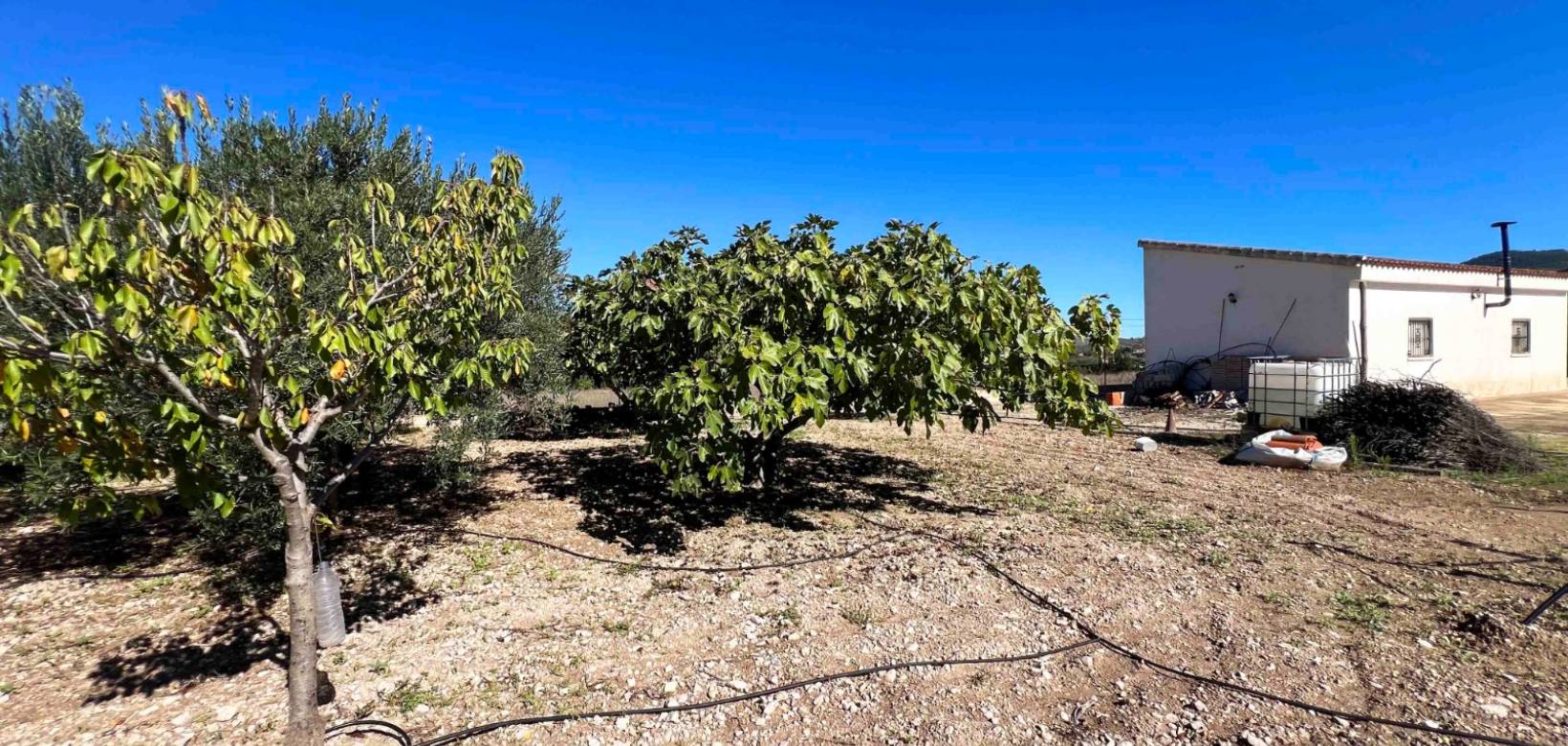 Resale - Villa - Hondón de los Frailes