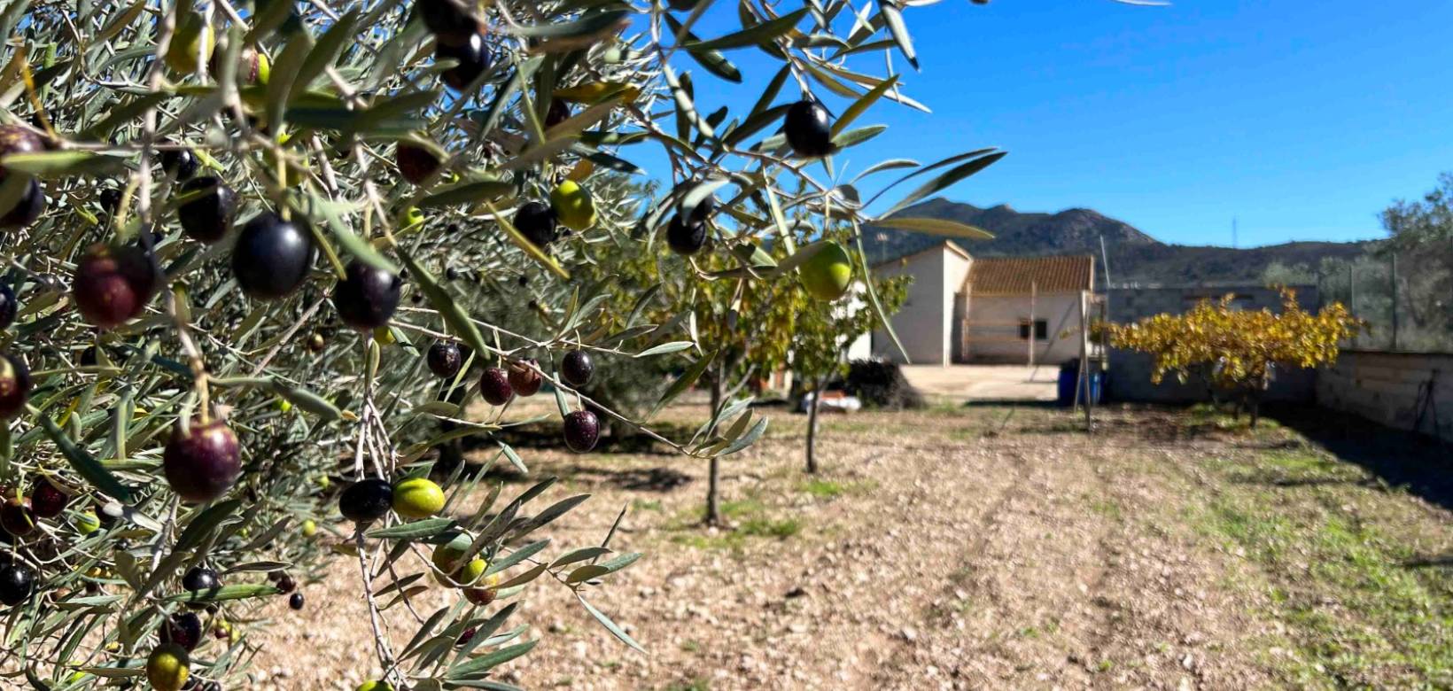 Resale - Villa - Hondón de los Frailes