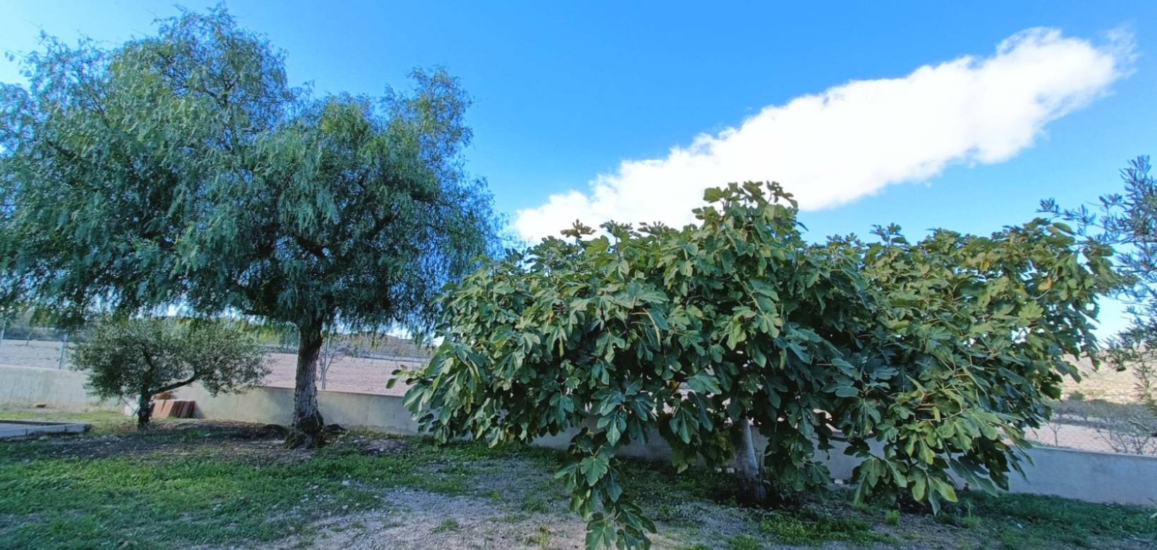 Resale - Villa - Hondón de los Frailes