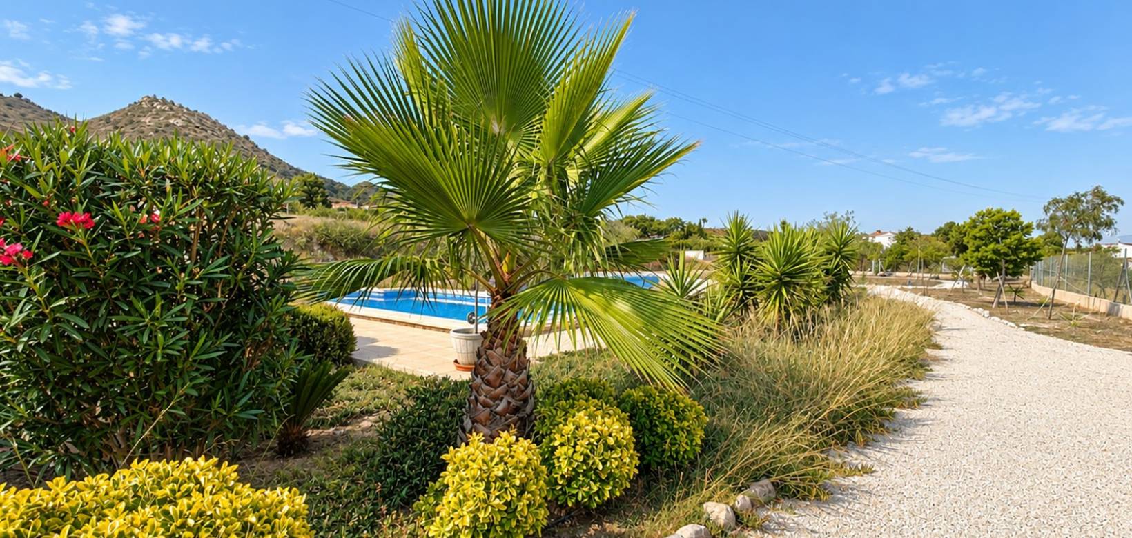 Resale - Villa - Hondón de los Frailes
