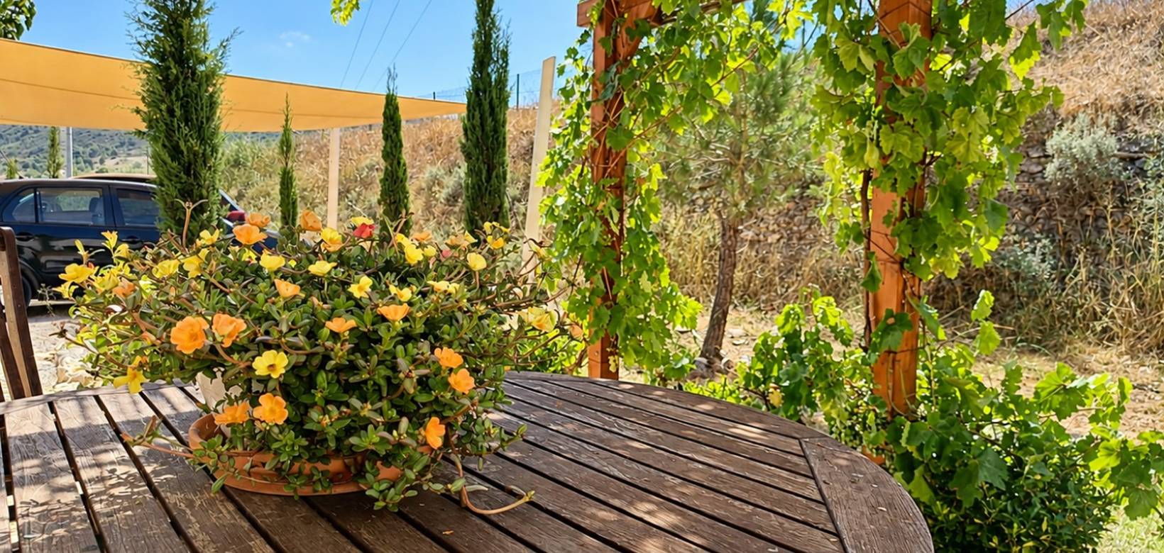 Resale - Villa - Hondón de los Frailes