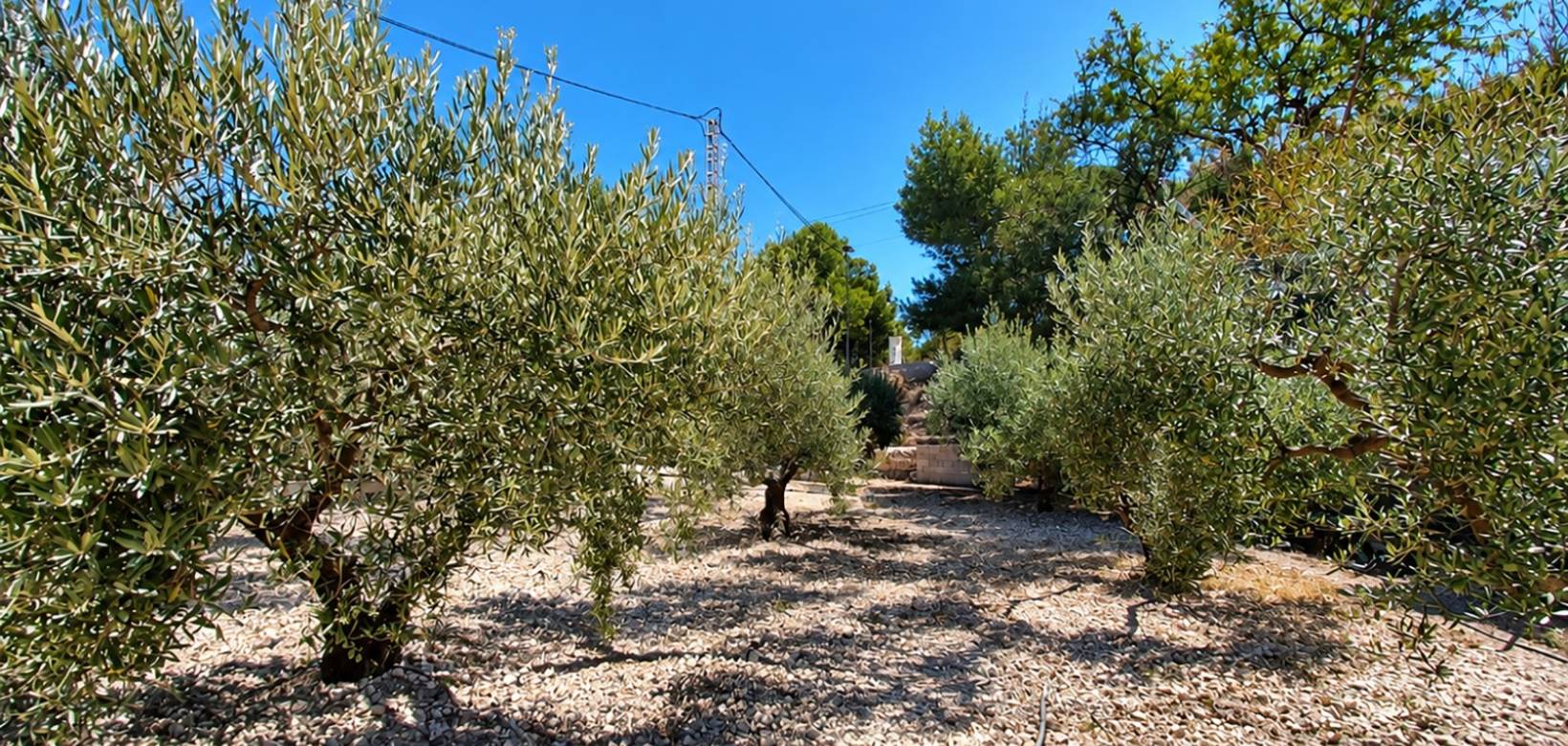 Resale - Villa - Hondón de los Frailes
