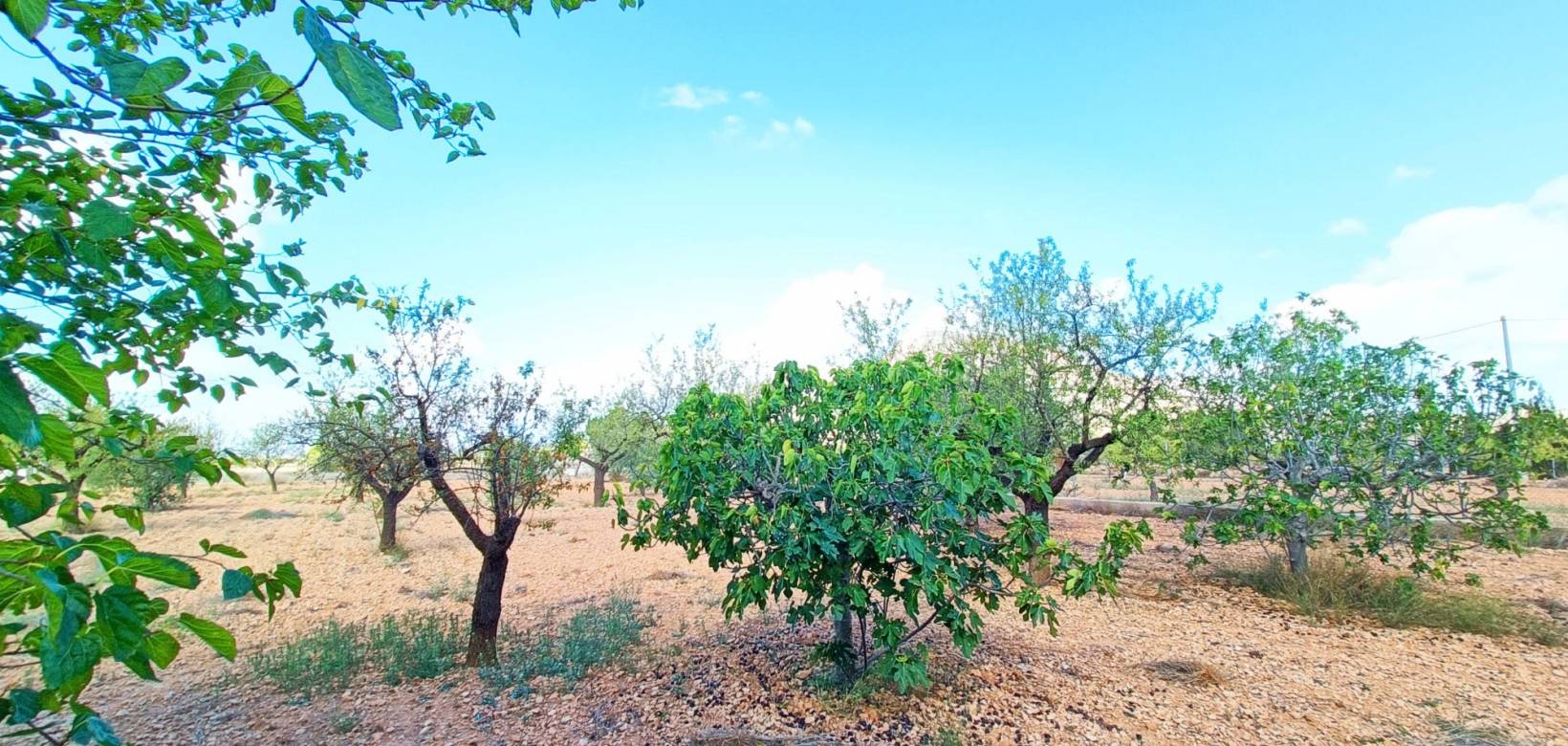 Resale - Villa - Hondón de los Frailes