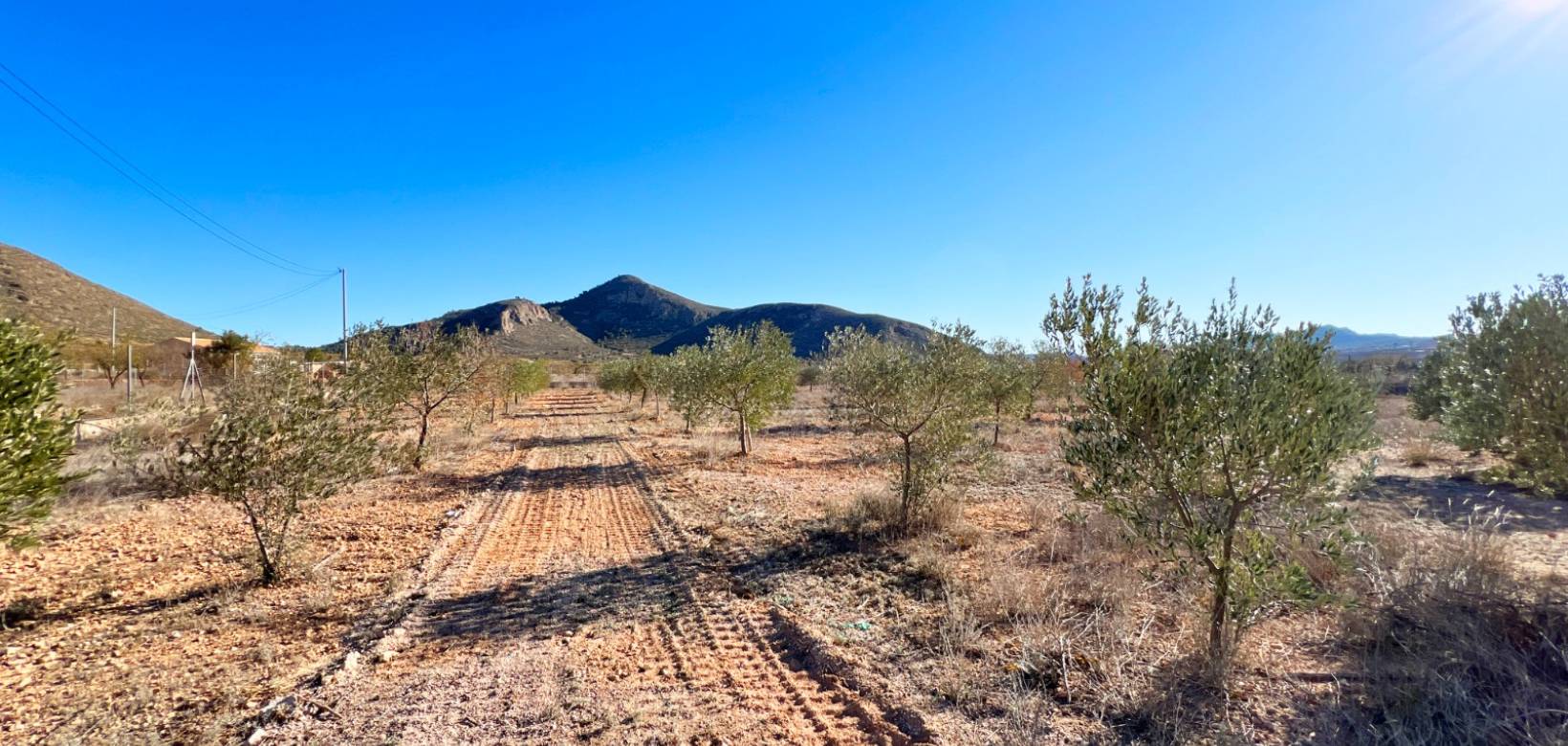 Resale - Villa - Hondón de los Frailes