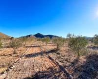 Resale - Villa - Hondón de los Frailes