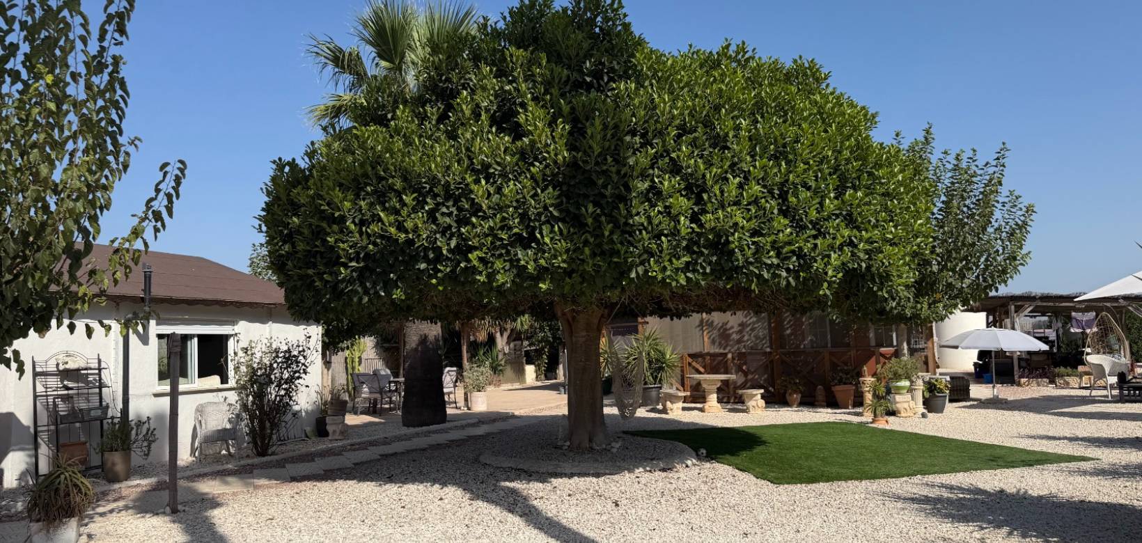 Resale - Villa - La Marina - Elche / Elx