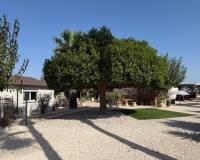 Resale - Villa - La Marina - Elche / Elx