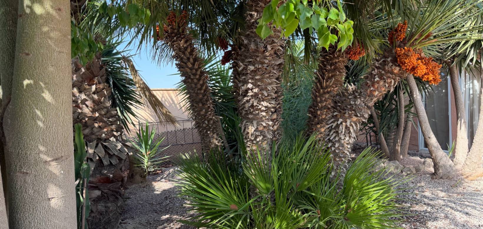 Resale - Villa - La Marina - Elche / Elx