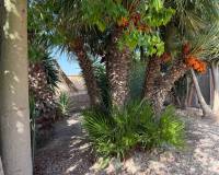 Resale - Villa - La Marina - Elche / Elx