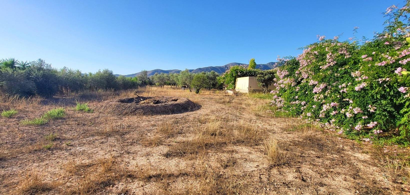 Resale - Villa - La Romana