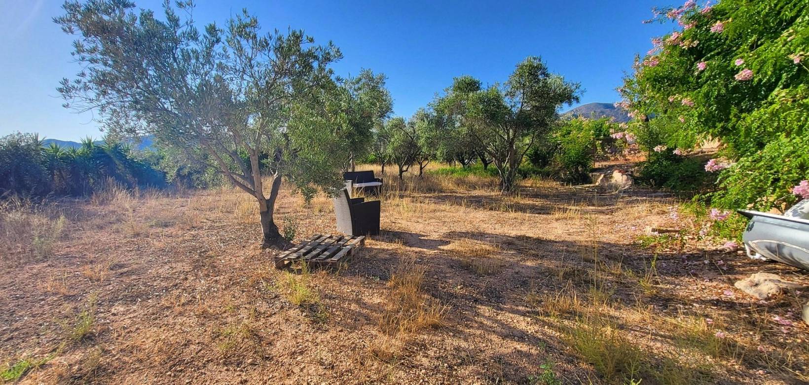 Resale - Villa - La Romana